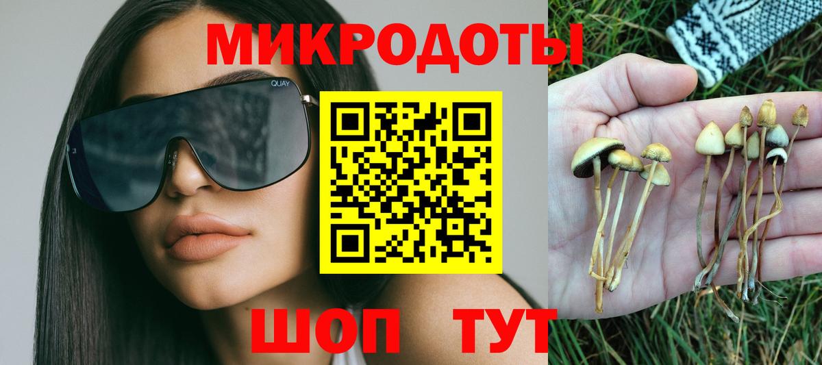 Галлюциногенные грибы Psilocybe  Галлюциногенные грибы Cubensis  Ефремов  Вход с VPN 